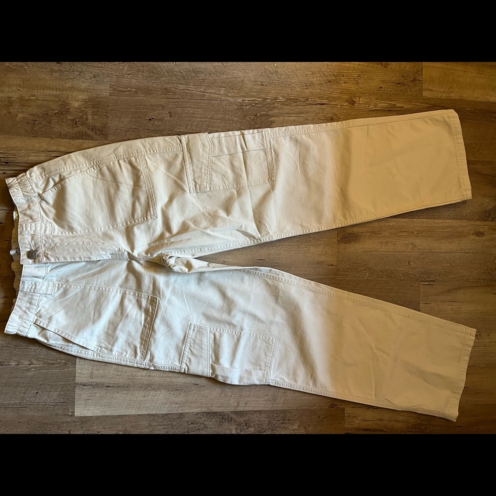 NWT Urban Outfitters Bdg skate pants